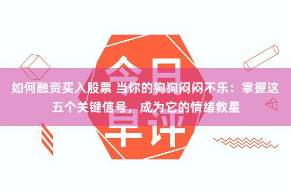 如何融资买入股票 当你的狗狗闷闷不乐：掌握这五个关键信号，成为它的情绪救星