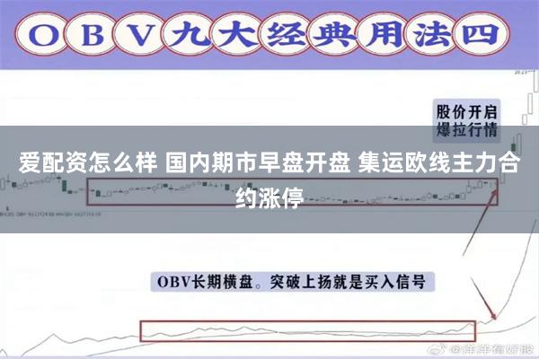 爱配资怎么样 国内期市早盘开盘 集运欧线主力合约涨停