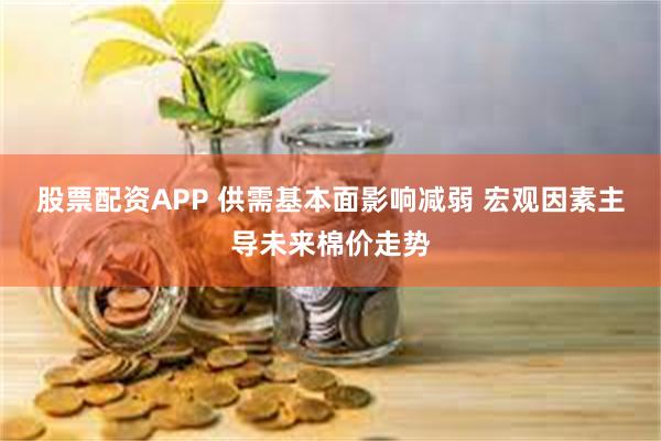 股票配资APP 供需基本面影响减弱 宏观因素主导未来棉价走势