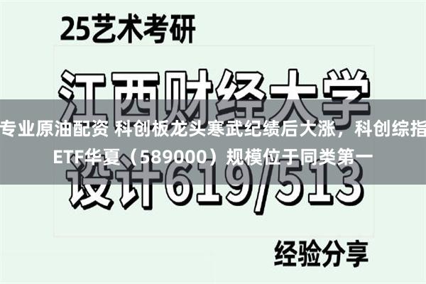 专业原油配资 科创板龙头寒武纪绩后大涨，科创综指ETF华夏（589000）规模位于同类第一