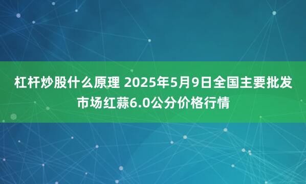 杠杆炒股什么原理 2025年5月9日全国主要批发市场红蒜6.0公分价格行情