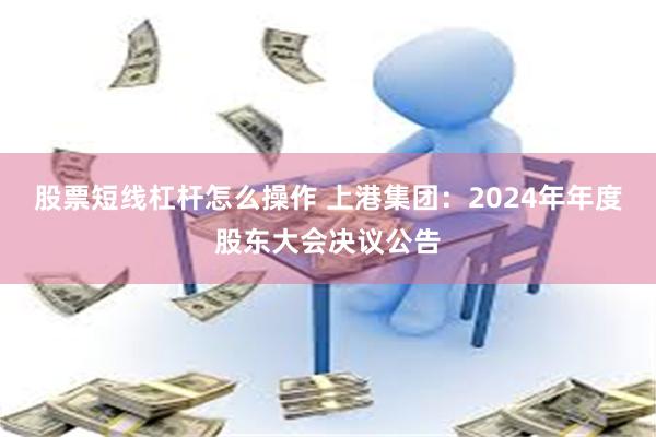 股票短线杠杆怎么操作 上港集团：2024年年度股东大会决议公告