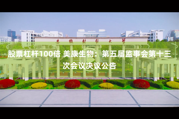 股票杠杆100倍 美康生物：第五届监事会第十三次会议决议公告