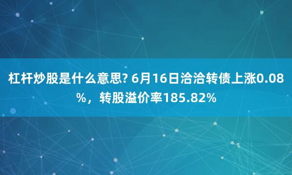 杠杆炒股是什么意思? 6月16日洽洽转债上涨0.08%，转股溢价率185.82%